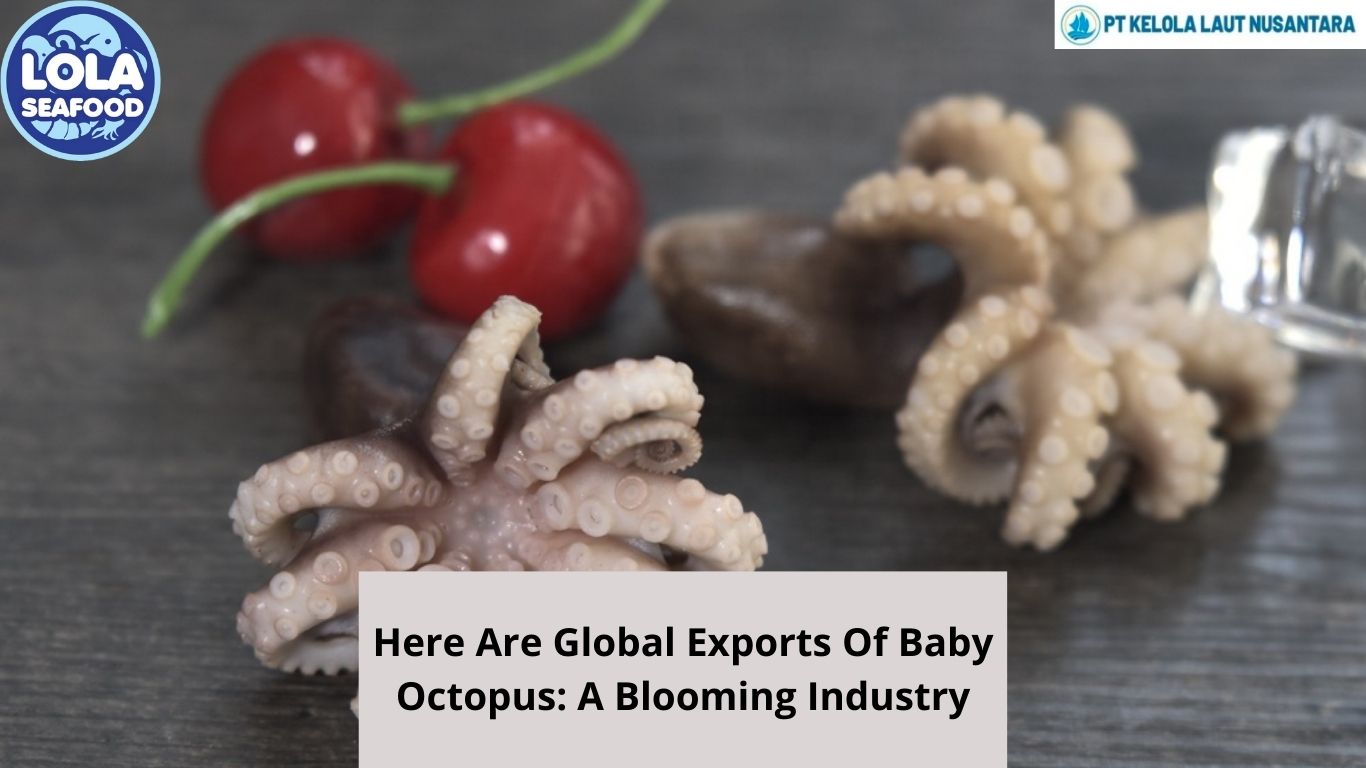 Here Are Global Exports Of Baby Octopus: A Blooming Industry